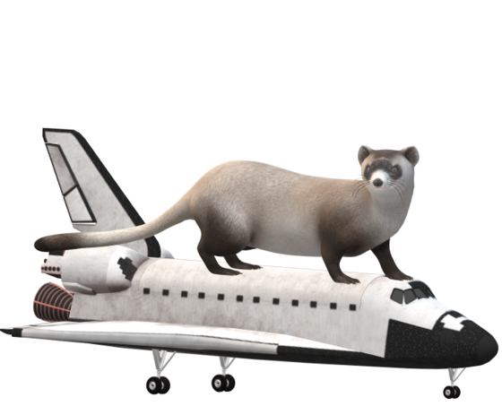 Weasel on the space shuttle 2.png